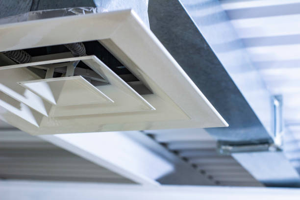 Best Affordable Duct Cleaning Services  in Unionville, TN