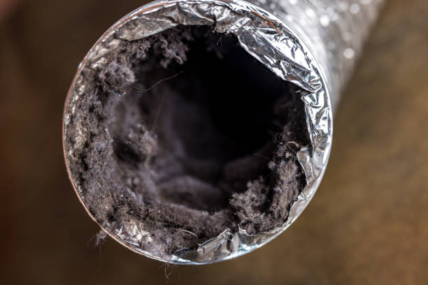 Best HVAC Maintenance and Cleaning  in Unionville, TN
